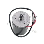 Electric Motor 24 Volt 100 Watt 9T 6mm Chain Sprocket ZY6812 Electric Scooters FITS/REPL. ZY6812